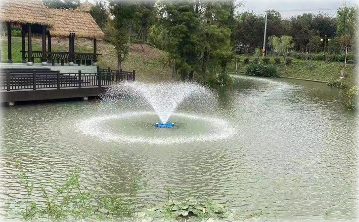 河道生態治理微生物強化處理技術
