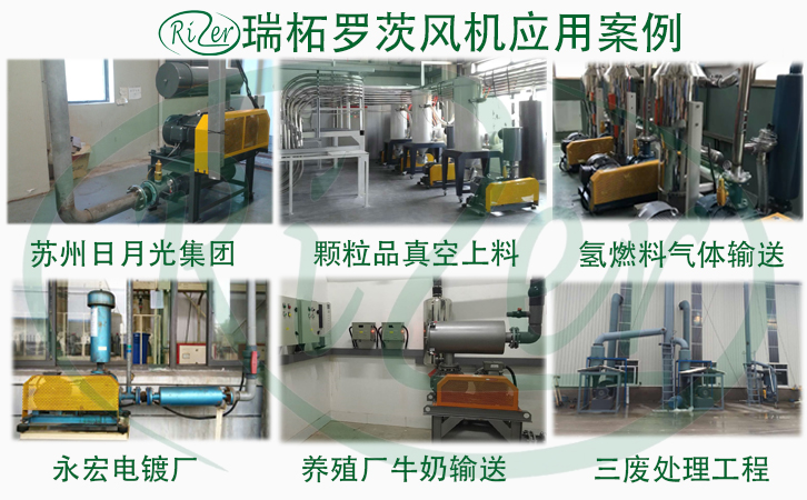上海廠家直銷魯氏牌三葉羅茨鼓風機