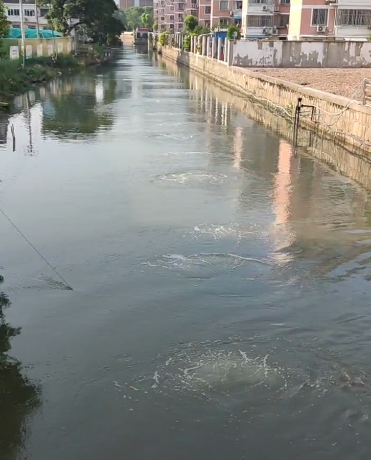 曝氣增氧效果