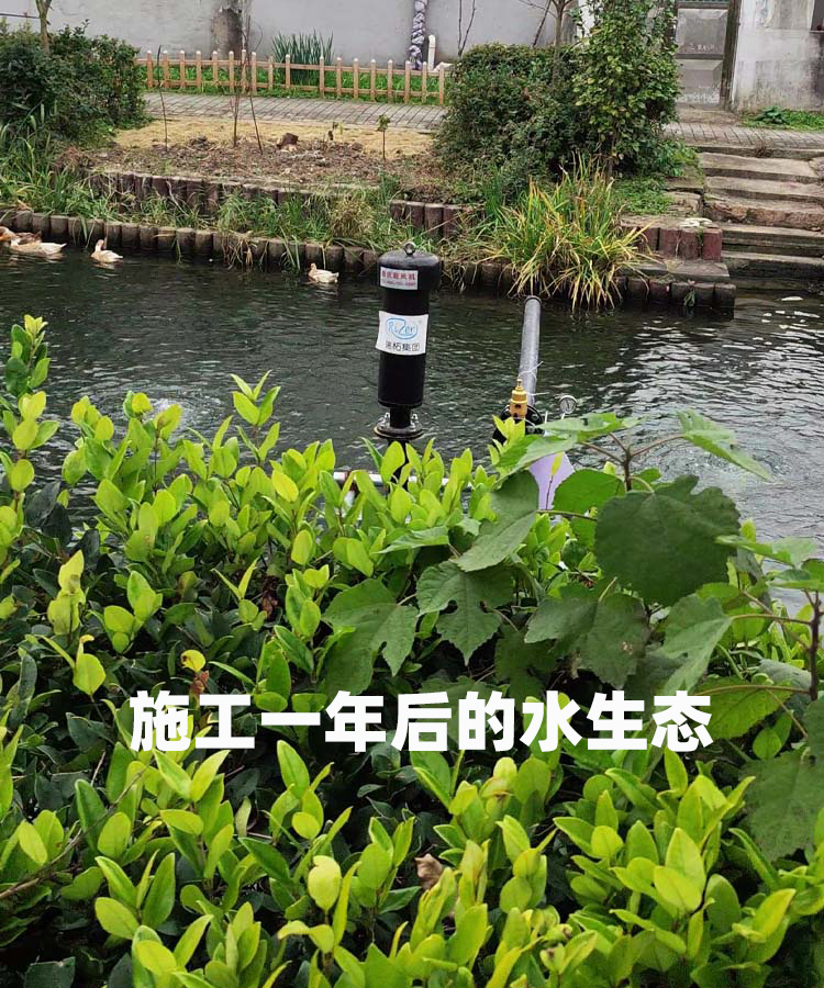 沉水羅茨風機.jpg